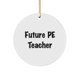 Funny Future PE Teacher Christmas Circle Ornament Gifts from Men for PE Teacher - Image 1
